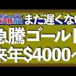 今年75回も最高値更新！金の先行きは？｜今ゴールドが下落しない理由｜FRBが金の再評価発表｜ロジャーパパの投資実績公開｜金vs大型テックvsS&P500直近25年の勝者【米国株投資】2025.9.5（動画）