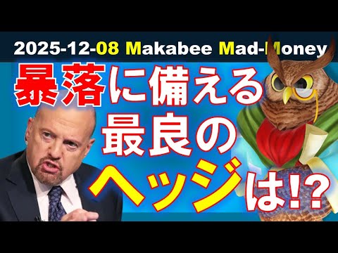 【米国株】株価の暴落の備える最良のヘッジは！？お薦めの配当株は！？【ジムクレイマー・Mad Money】（動画）