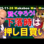 【米国株】そろそろいけるのか！？下落時の賢い“押し目買い”のやり方！【ジムクレイマー・Mad Money】（動画）