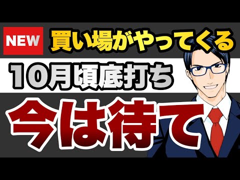 買い場がやってくる　10月頃底打ち　今は待て（動画）