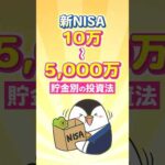 【保存版】新NISAで10万～5,000万での貯金別の投資法！（動画）
