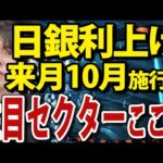 日銀10月利上げへタカ派発言、日本株のセクターチェンジに備えろ（動画）