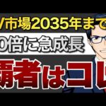 EV市場は2035年までに40倍に急成長　覇者はコレ（動画）