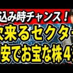 そろそろ反発か？セクターローテーションの次なるお宝銘柄４選（動画）