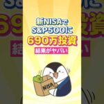 【ヤバすぎ】新NISAでS&P500に690万投資した結果…（動画）