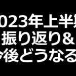 2023年上半期振り返り。今後も大型株強いか？ 下落止まらない株など（動画）