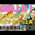 米国株上昇！ナスダック、テスラ、SOXL上昇！今後どうなる？（動画）
