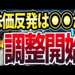 日本株と米国株、同時に調整開始？最初の反発ラインは●●か（動画）