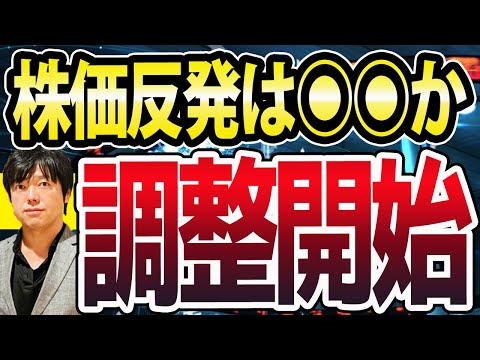 日本株と米国株、同時に調整開始？最初の反発ラインは●●か（動画）