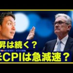 米国株は上昇継続？CPIは急減速なるか。（動画）