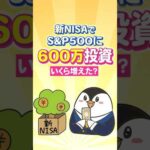 【驚愕】新NISAでS&P500に600万投資したらいくら増えた？（動画）