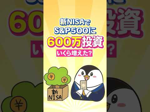 【驚愕】新NISAでS&P500に600万投資したらいくら増えた？（動画）