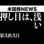 サマーラリーは続くと予測します(7月22日 #PAN米国株)（動画）