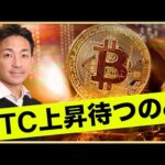 ビットコインの大幅下落はない。上昇を待つのみ。（動画）