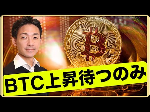 ビットコインの大幅下落はない。上昇を待つのみ。（動画）