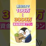 【保存版】新NISAで100万～3,000万の資金別投資プラン！（動画）