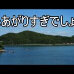 しんやのてきとう。（動画）