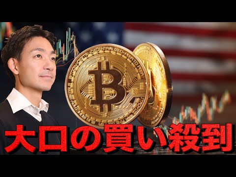 ビットコインに底入れのサイン？大口投資家が買い始めた。（動画）