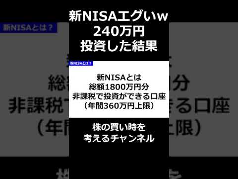 新NISA 240万円買った結果（動画）