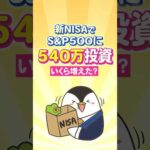 【衝撃】新NISAでS&P500に540万投資したらいくら増えた？（動画）