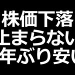 ガチで下げまくってる株 特集（動画）