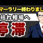 サマーラリーは終わりました　夏枯れ相場へ　停滞（動画）