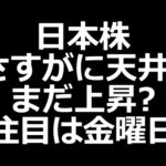 日本株、山場は金曜日か？今週は3ヶ月に1回のメジャーSQ！日経平均株価どうなるかに注目（動画）