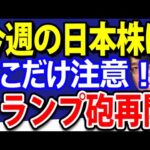 トランプ大統領、半導体関税300％！パウエルＦＲＢ議長、利下げ発言する？（動画）