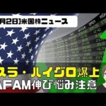 [米国ニュース11月2日]テスラ・ハイグロ爆上げ！GAFAM伸び悩み注意（動画）