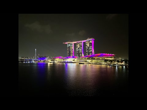 【実写ゲリラライブ】シンガポールから家計管理を叫ぶ（動画）