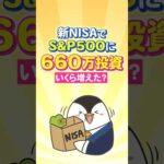 【爆伸び】新NISAでS&P500に660万投資したらいくら増えた？（動画）
