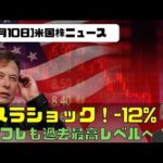 [米国ニュース11月10日]テスラショック-12%！インフレも過去最高レベルへ（動画）