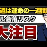 【大注目】今週は運命の一週間　ドル急落リスク（動画）
