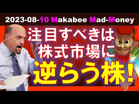 【米国株】株式市場全体の流れに逆らう銘柄に注目！一時的な偽の動きに惑わされるな！【ジムクレイマー・Mad Money】（動画）