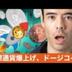 【仮想通貨の爆上げ】ビットコインキャッシュ、イーサリアムクラシック、ドージコイン（動画）