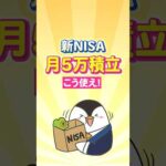【保存版】新NISAで月5万積立はこう使え！（動画）