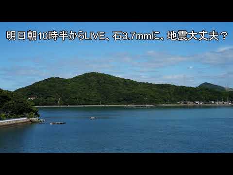 今日の動画の２次会（動画）