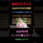 極道の花子たち（2024年11月5日の動画）インテルは終わったのか？2025ねん9月インテル爆上げ！ #米国株 #nisa（動画）