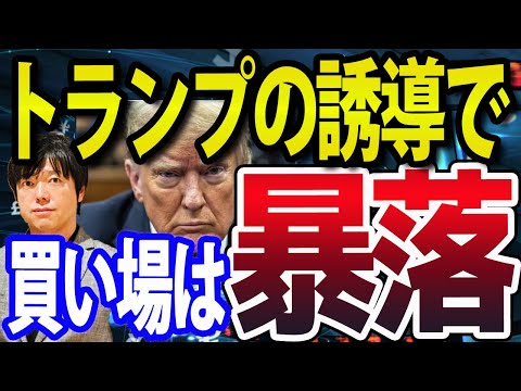 【これは陰謀か？】トランプの誘導で暴落する米国株！NYダウ・NASDAQ・日本株の買い場はどこ？（動画）