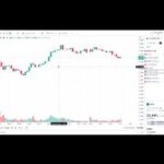 日本株 ばぶるきてるやん（動画）