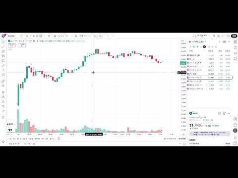 日本株 ばぶるきてるやん(動画)