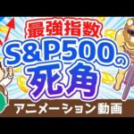 【再放送】S&P500に投資すれば絶対に儲かると信じている人に伝えたい3つのこと【初心者向け】【株式投資編】：（アニメ動画）第180回（動画）