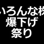 いろんな株が爆下げしてます（動画）