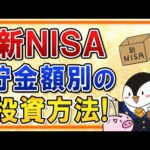 【保存版】新NISAにおける貯金額別の投資方法！10万・50万・100万・300万・500万・1,000万・3,000万のケースで徹底解説（動画）