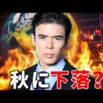 世界相場、秋に下落？（動画）