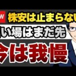 【我慢】株安は止まらない　買い場はまだ先（動画）