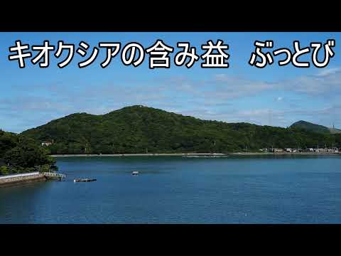 キオクシア 含み益ぶっとびカウントダウンLIVE（動画）