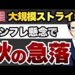 【急落】米国大規模ストライキ（動画）