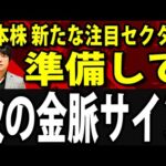 日経平均株価1100円超上昇、日本株に次の金脈セクター誕生（動画）