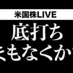 11月底打ちはあるか？(11月22日)（動画）